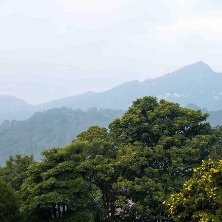 The Fern Surya Resort Kasauli Hills, Dharampur Zewnętrze zdjęcie